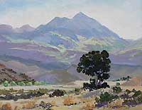 Carolyn Dailey